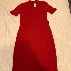 Express Midi Dress - NEW